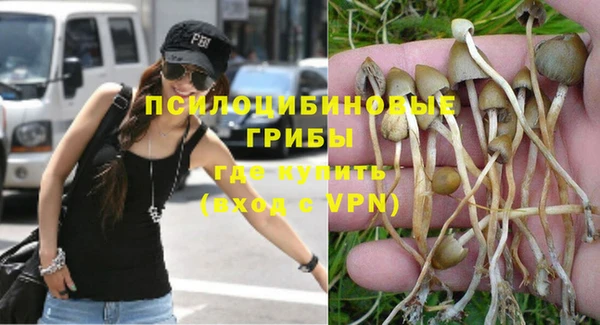 MDMA Горнозаводск