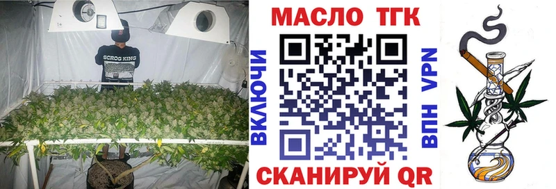 МЕГА tor  Малаховка  ТГК THC oil  где купить наркоту 