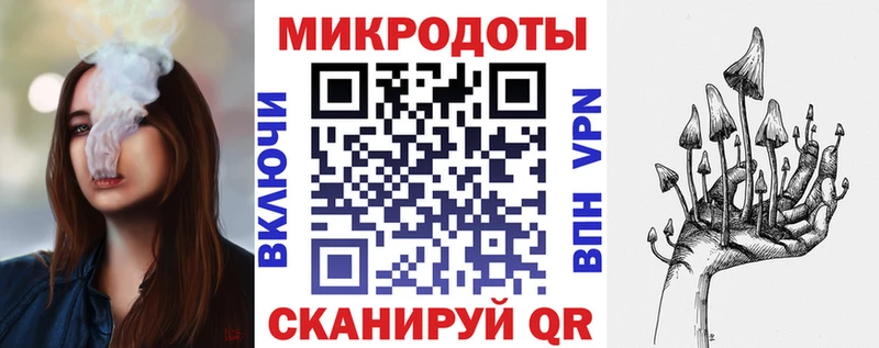 Галлюциногенные грибы Psilocybine cubensis  Малаховка 