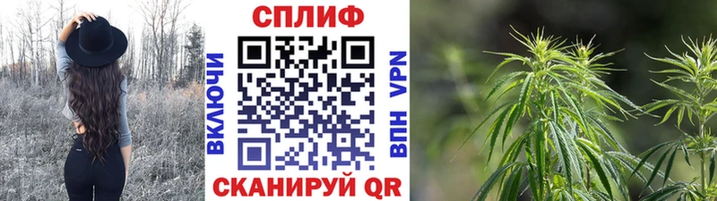 цены наркотик  Малаховка  Шишки марихуана AK-47 